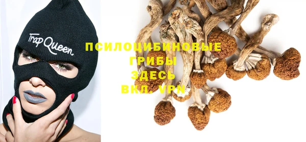mdma Дмитров